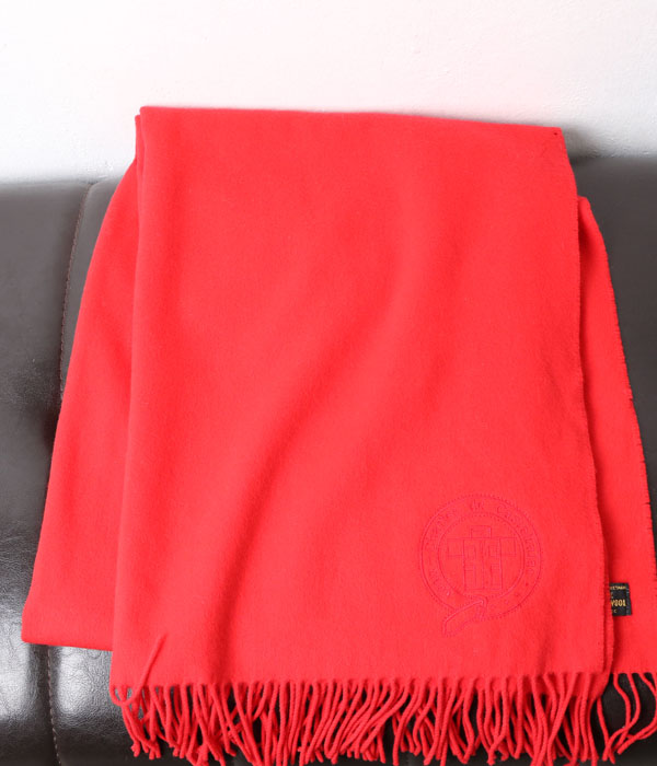 Castelbajac wool (67*205)